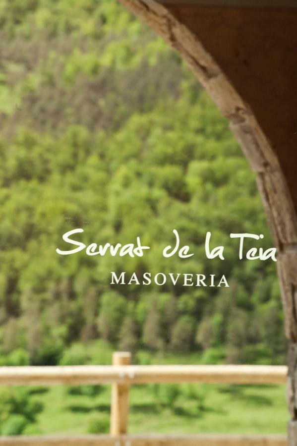 Mas Serrat De La Teia Сан-Жоан-де-лес-Абадессес Экстерьер фото